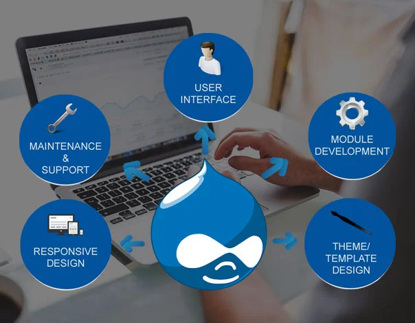 web-development-page-drupal-img